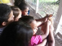 /album/galeria-de-fotos/visita-alunos-3-jpg/